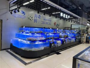 Thiết kế hồ hải sản đẹp