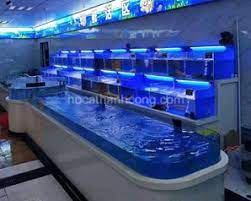 Công ty Hồ Cá Thành Công tự hào là đơn vị hàng đầu trong lĩnh vực tư vấn, thiết kế và thi công các loại hồ cá cảnh, hồ hải sản tại Việt Nam. Với hơn 10 năm kinh nghiệm và đội ngũ kỹ thuật viên giàu chuyên môn,