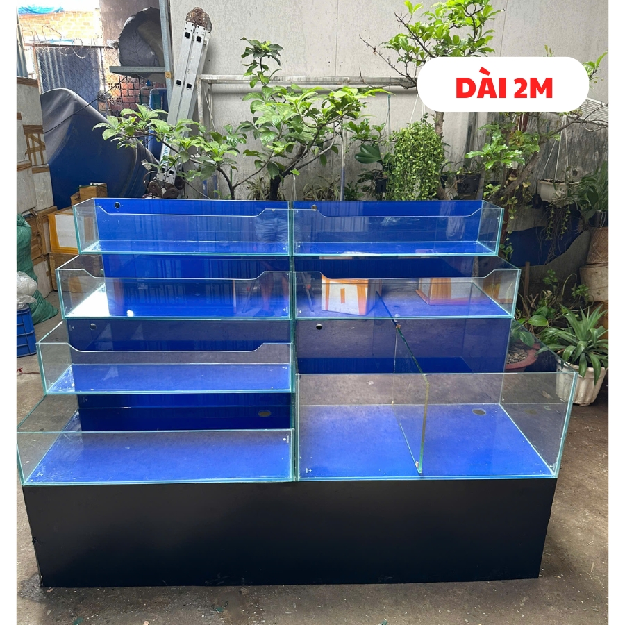 thi công hồ hải sản thi công hồ hải sản