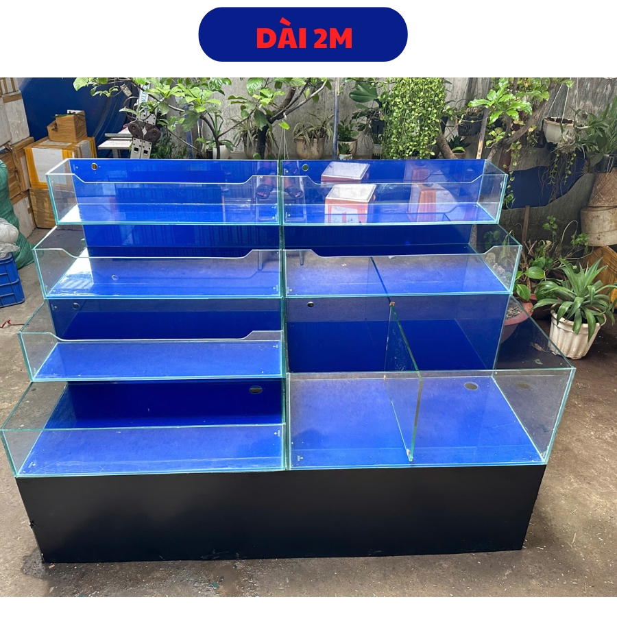 thi công hồ hải sản thi công hồ hải sản