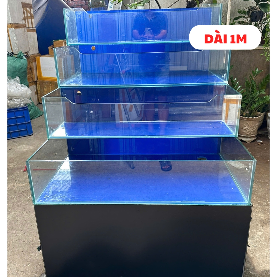 Hồ hải sản siêu thị Hồ hải sản siêu thị