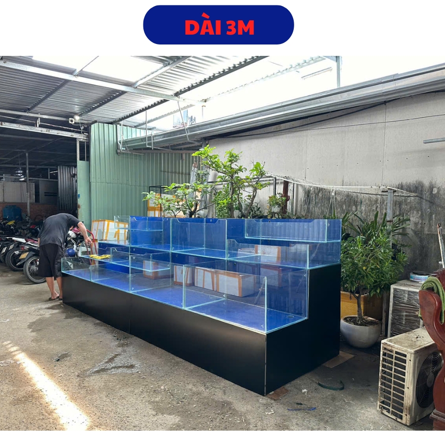 Hồ hải sản dài 3m Hồ hải sản dài 3m