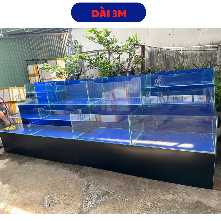Hồ kính 3m Hồ kính 3m