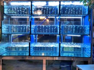 be-ca-hai-san-nha-hang-3