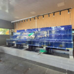 Thi công bể hải sản