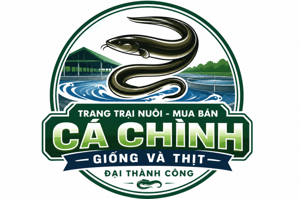 ca-chinh-giong