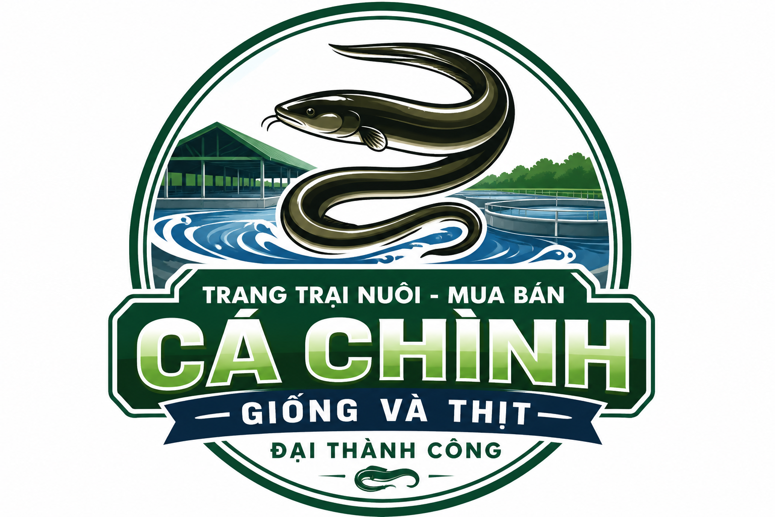 ca-chinh-giong