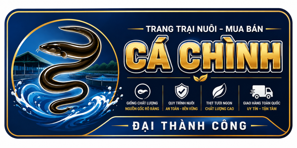 Mua-ban-ca-chinh-bong-giong